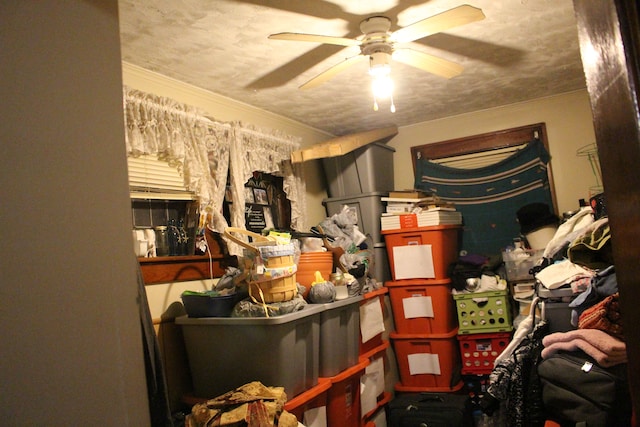 storage room featuring a ceiling fan