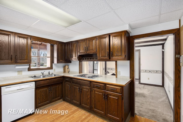 kitchen featuring dishwasher, light countertops, a sink, and stainless steel electric stovetop