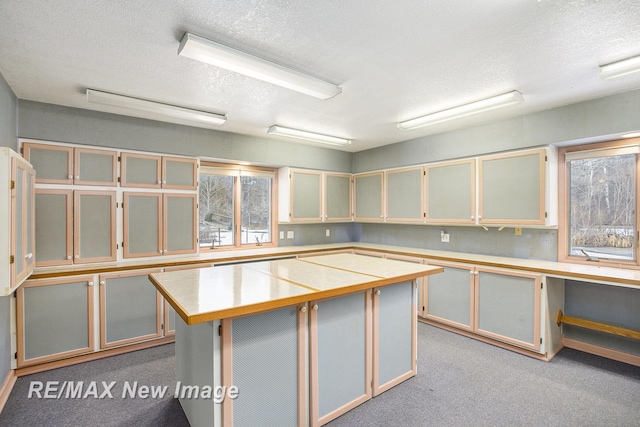 basement featuring light colored carpet, built in study area, and a textured ceiling