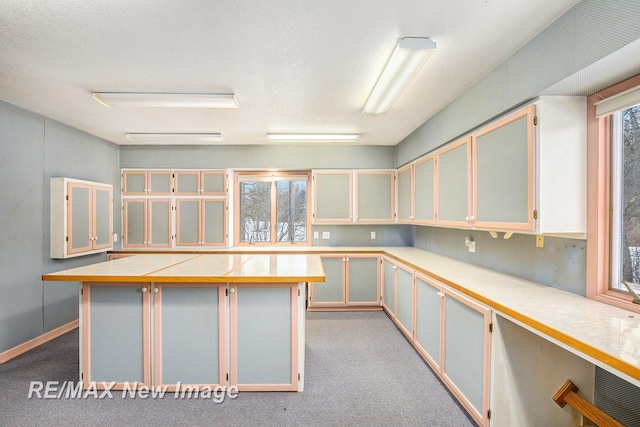 basement featuring light carpet and plenty of natural light