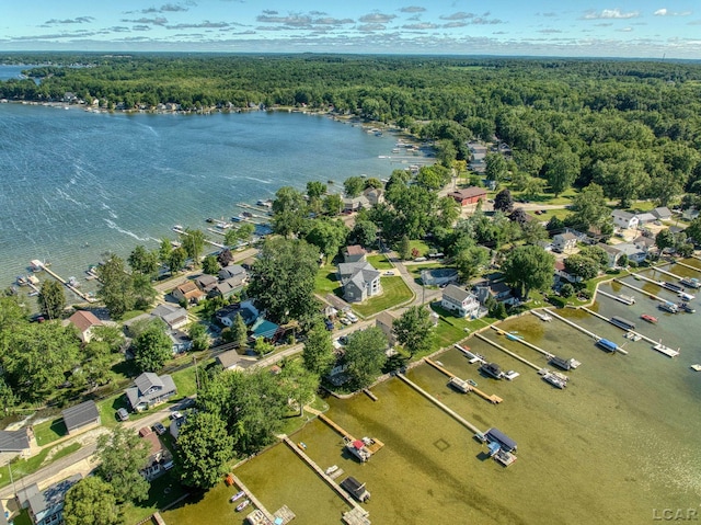 aerial view with a water view and a view of trees