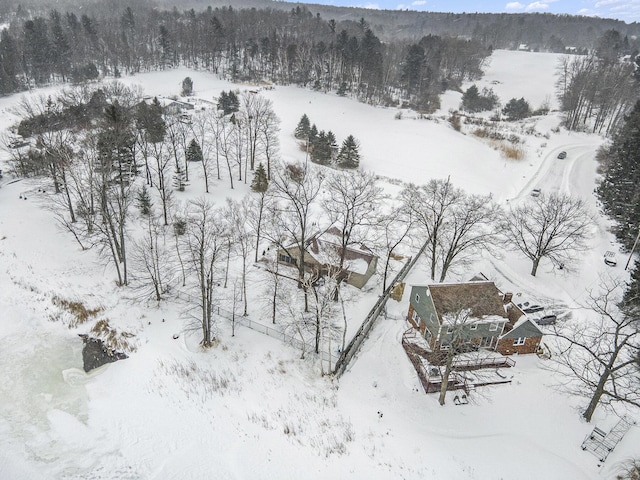 snowy aerial view featuring a view of trees