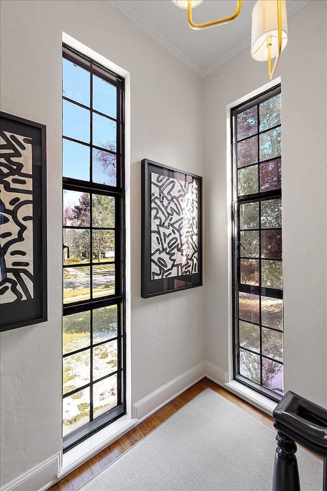 interior space featuring plenty of natural light, baseboards, crown molding, and wood finished floors