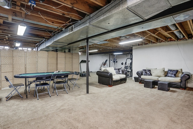 unfinished basement with carpet floors