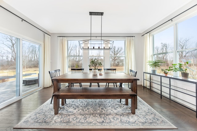 dining space featuring a notable chandelier and dark wood-style flooring