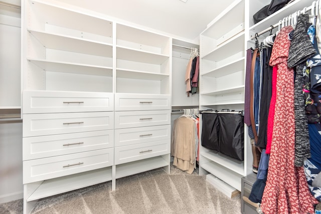 spacious closet featuring carpet