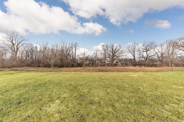 view of yard featuring a rural view