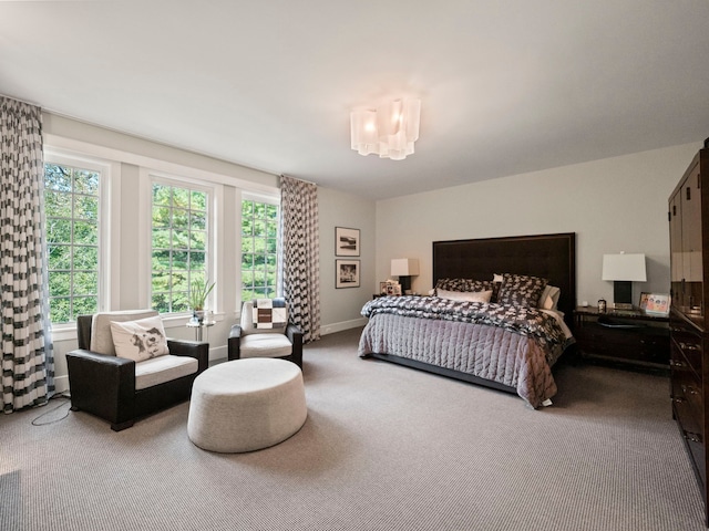 300 Warren Ct, Birmingham, MI 48009 - bedroom featuring carpet flooring, multiple windows, a chandelier, and baseboards