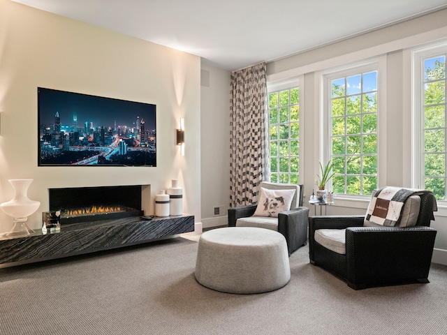 300 Warren Ct, Birmingham, MI 48009 - carpeted bedroom featuring a warm lit fireplace and baseboards