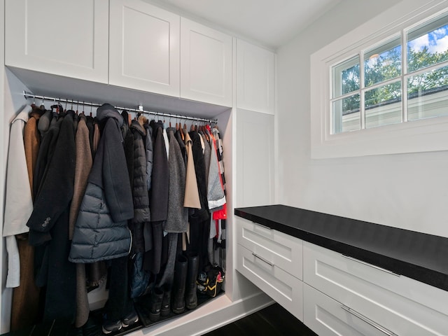 300 Warren Ct, Birmingham, MI 48009 - spacious closet with wood finished floors
