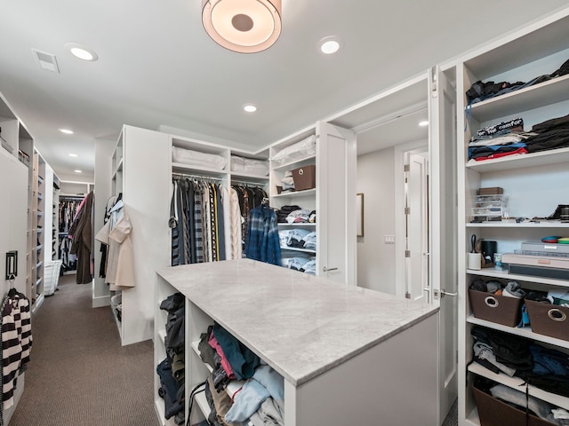 300 Warren Ct, Birmingham, MI 48009 - spacious closet with carpet floors
