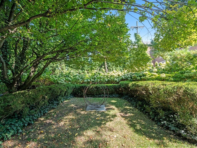 300 Warren Ct, Birmingham, MI 48009 - view of yard