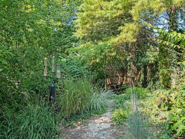 300 Warren Ct, Birmingham, MI 48009 - view of undeveloped land