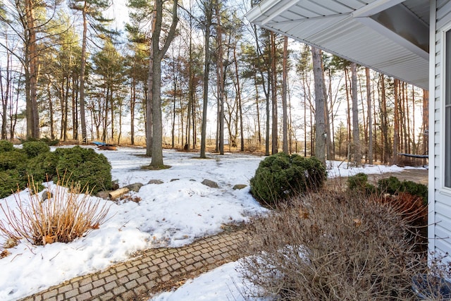 view of yard covered in snow