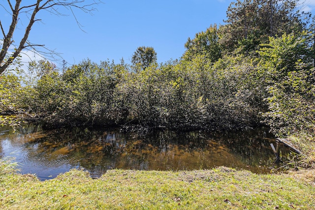 water view with a forest view