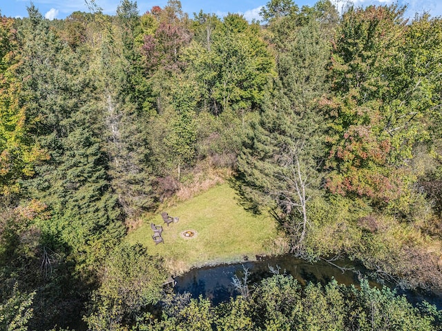 birds eye view of property featuring a water view and a forest view