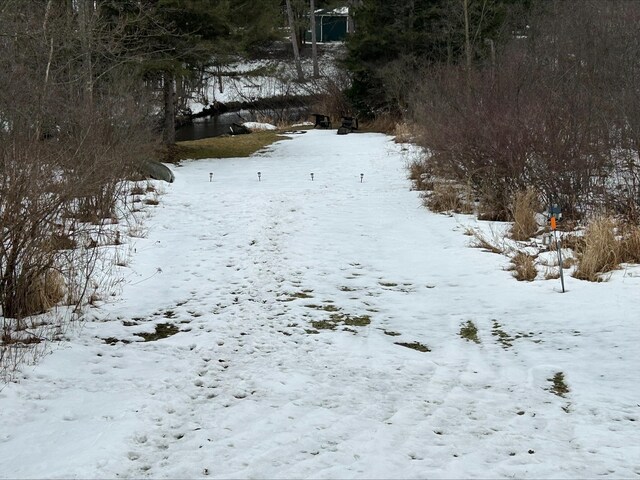 view of yard covered in snow