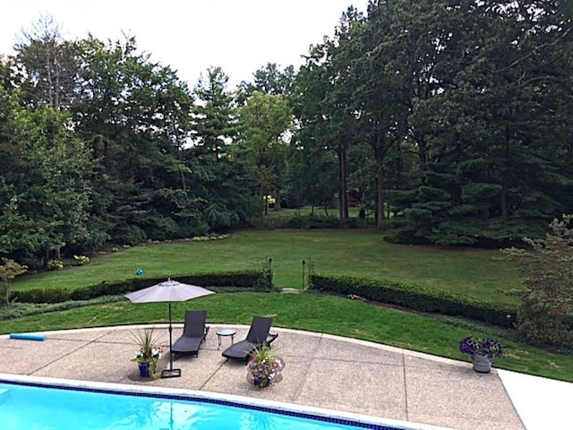 pool featuring a patio area and a yard