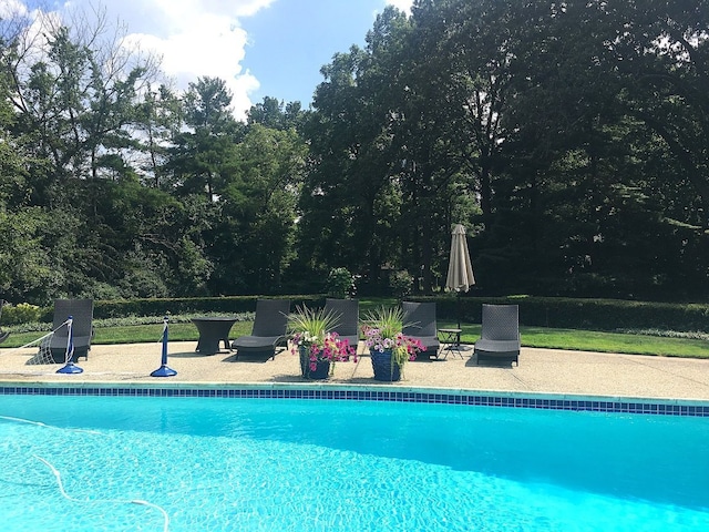 outdoor pool with a patio area