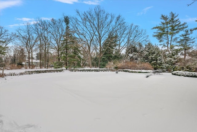 view of snowy yard