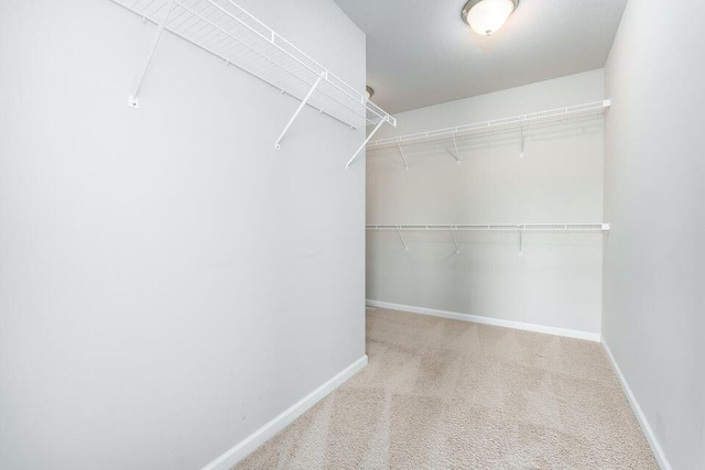 walk in closet with carpet