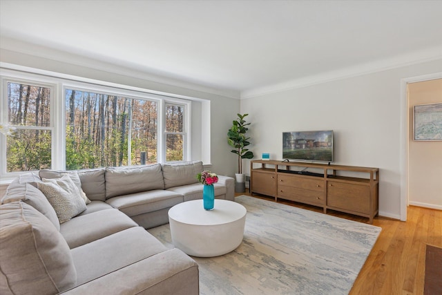 living area featuring light wood-type flooring, crown molding, and baseboards