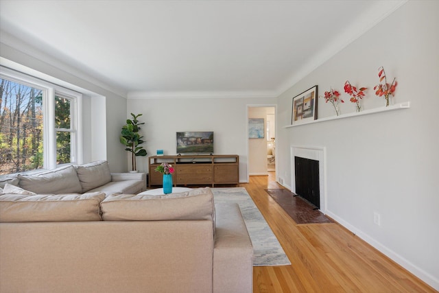 living room with a fireplace with flush hearth, light wood-type flooring, and baseboards