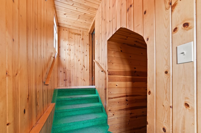 stairway with wood ceiling, wooden walls, and a sauna