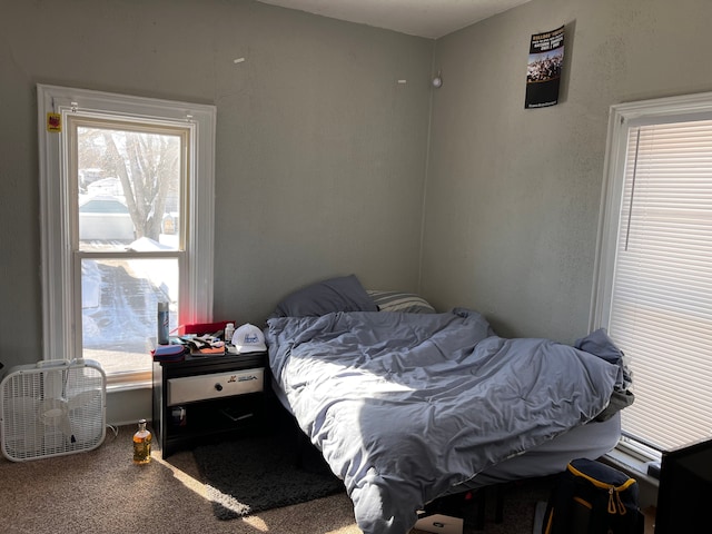 bedroom with carpet flooring