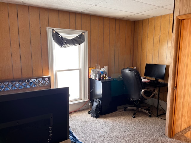 office area featuring carpet and wooden walls