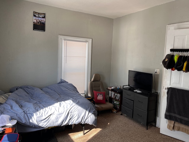 view of carpeted bedroom