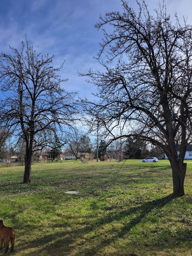 3246 E Maple Ave, Grand Blanc, MI 48507 - view of yard