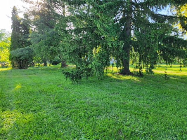 3246 E Maple Ave, Grand Blanc, MI 48507 - view of yard