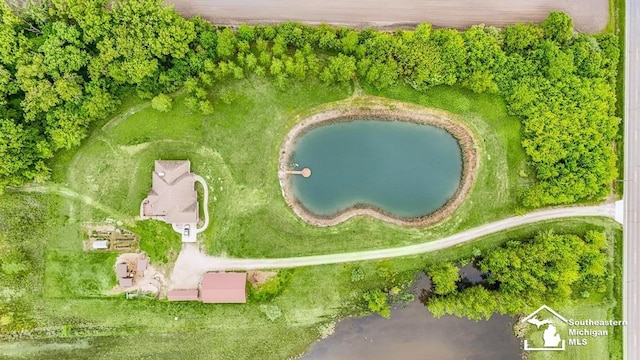 6370 Lewis Ave, Ida, MI 48140 - aerial view of property and surrounding area