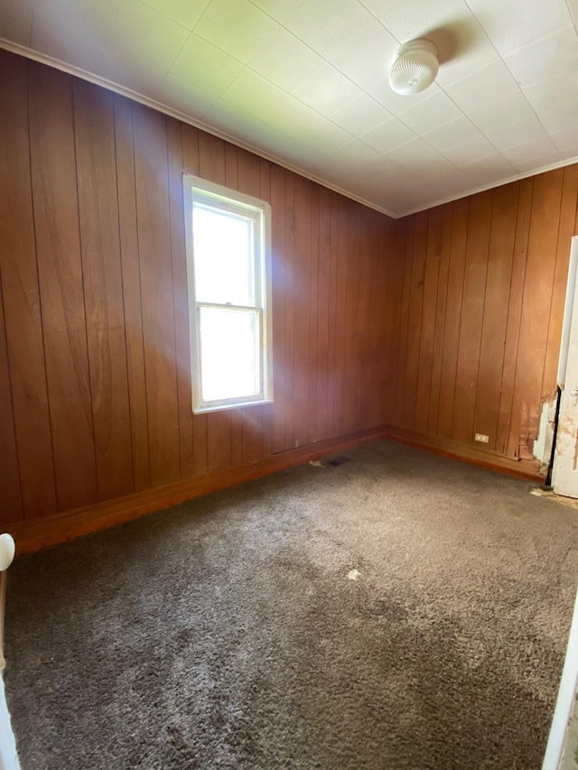 1228 Quarry Ave NW, Grand Rapids, MI 49504 - carpeted spare room featuring wood walls