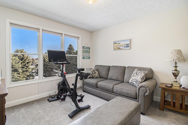 workout room featuring a textured ceiling, carpet, and baseboards