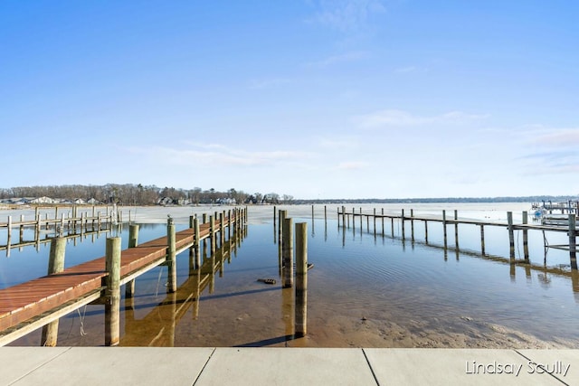 dock area with a water view