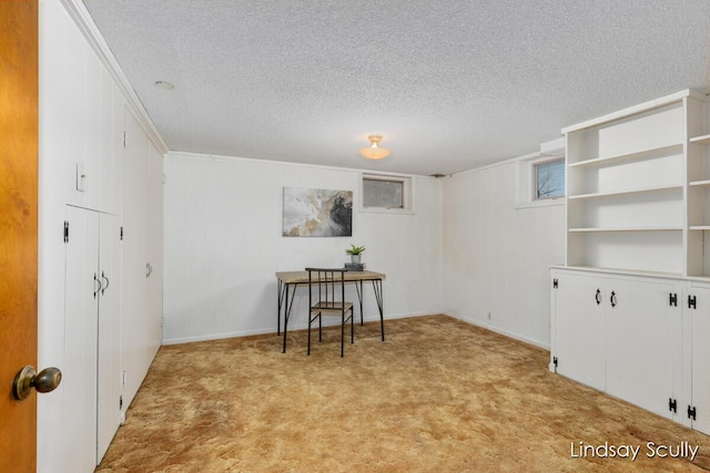 unfurnished room with light carpet and a textured ceiling