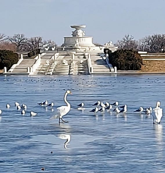 view of water feature