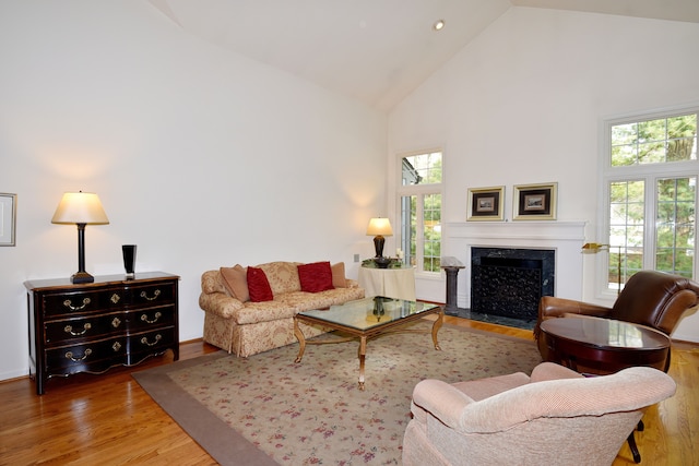 living area featuring a premium fireplace, high vaulted ceiling, a wealth of natural light, and wood finished floors