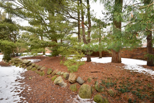 view of yard with fence