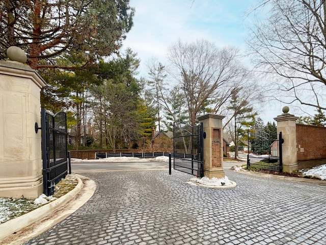 view of road featuring curbs, a gated entry, and a gate