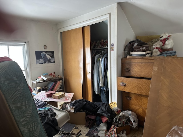 miscellaneous room featuring lofted ceiling