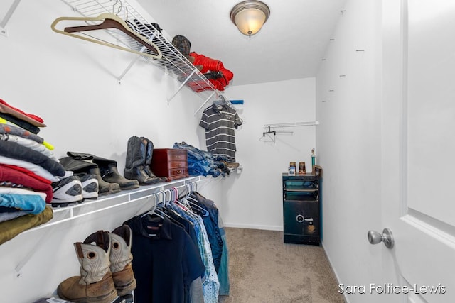 spacious closet with carpet floors