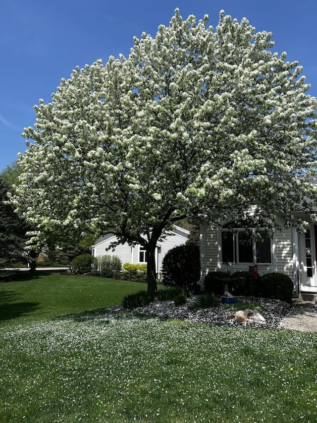 view of home's exterior featuring a lawn