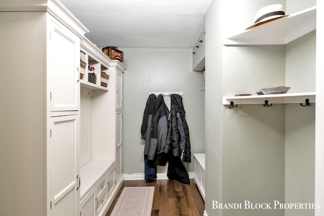 walk in closet with dark wood-style floors