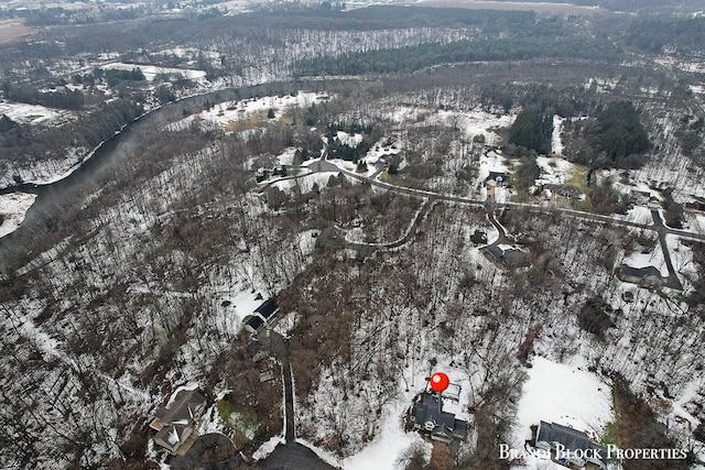 birds eye view of property featuring a view of trees