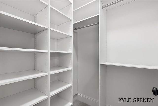 view of spacious closet