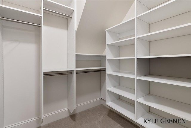 spacious closet featuring carpet flooring