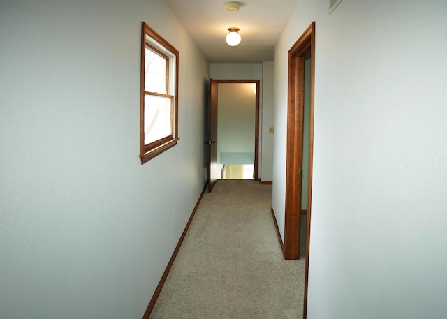 corridor featuring baseboards and light colored carpet